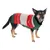 Hund trägt gestrickten Pullover in Grün, Rot und Weiss mit Schneeflocken- und Rentier-Motiven.