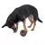 Dog playing with a brown, textured toy ball with a hole in the centre.