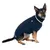 Hund trägt dunkelblauen Strickpullover mit weissem Rand und Pfoten-Logo auf der Seite.