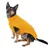Hund trägt einen gelben Strickpullover mit Rollkragen und seitlichem Knopfdetail.