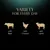 Variety for every day with beef, chicken and lamb options shown by animal icons.
