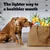 Text reads: The lighter way to a healthier mouth. Image shows a dog sniffing a shopping bag filled with fruit, vegetables and a pack labelled Dentastix Light.
