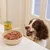 Boîte de nourriture pour chien Lily's Kitchen à côté d'un bol de pâtée servie, marque et produit visibles sur l'emballage jaune.