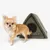 Tienda para mascotas verde y triangular con entrada redonda y logotipo de Nomad Tales, junto a un perro pequeño.