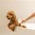 Hand holding a white grooming brush and brushing a dog's fur in a bathtub.