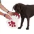 Brauner Hund untersucht eine weisse Pfoten-förmige Tasche mit rotem Karomuster, gehalten von einer Person. Tasche mit grüner Kordel und Knochen-Dekoration.