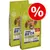 Two bags of Purina Beta Adult with chicken, new improved recipe, no added artificial colours, flavours or preservatives, natural prebiotic for digestive health, special offer symbol shown. Two bags of Purina Beta Adult with chicken, new improved recipe, no added artificial colours, flavours or preservatives, natural prebiotic for digestive health, special offer symbol shown.