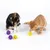 Dos gatos juegan con pelotas de juego amarillas y violetas hechas de material de red.