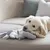 Dog playing with grey fabric toy on a sofa. Toy has rope knots and plush material.