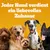 Text: Jeder Hund verdient ein liebevolles Zuhause. Vier Hunde verschiedener Rassen vor einem orangefarbenen Hintergrund.