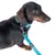 Dackel mit blauem Halsband und passender Leine, Metallverschluss sichtbar. Produkt zeigt Anwendung von Hundezubehör.