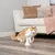 Toy with red laser beam being examined by a cat on a wooden floor. Suitable for interactive indoor play.