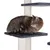 Braun getigerte Katze sitzt auf einer grauen Plattform eines Kratzbaums mit Sisal umwickelten Säulen.