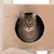 Braun getigerte Katze sitzt in einer beigen Höhle eines Kratzbaums mit Sisal umwickelten Säulen.