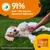Zesty Paws Probiotic Chews sütőtök