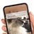 Benachrichtigung auf Smartphone: Catit PIXI™. Water is running out. Leo's fountain: The water level is low. Please refill.