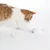 Chat roux et blanc jouant avec trois balles froissées en plastique irisé sur fond blanc. Les balles sont translucides et brillantes.