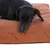 Chien noir allongé sur un grand coussin marron en tissu bouclette, bordure inférieure en suédine. Coussin rectangulaire visible en gros plan.