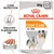 Royal Canin Coat Care Mousse, 85g x 12. Für gesundes und glänzendes Fell. Geeignet für alle Grössen. Royal Canin Coat Care Mousse, 85g x 12. Für gesundes und glänzendes Fell. Geeignet für alle Grössen.