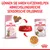 Royal Canin Kitten Sterilised 6-12 Monate Trocken- und Nassfutter. Abwechslungsreiche sensorische Erlebnisse für Katzenwelpen. Gezeigt: Futter, Napf und Verpackungen.