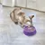 Katze frisst aus einem lila Fressnapf der Marke KONG, mit strukturierter Oberfläche und verstreutem Futter.