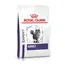 Royal Canin Expert Feline Adult - Sparpaket: 2 x 8 kg