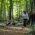 Zwei Hunde an Leinen mit Geschirren, geführt von zwei Personen beim Spaziergang im Wald.