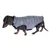 Teckel portant une doudoune grise matelassée pour chien, fermeture visible sous le cou et sur le ventre, matière synthétique brillante.