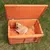 Holz-Hundebox mit orangefarbenem Innenpolster, geöffnet. Hund sitzt darin auf einer Wiese.
