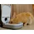Gato naranja comiendo de un dispensador de comida gris con la tapa abierta.