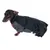 Hund trägt ein schwarzes Cape und ein graues Outfit mit rotem Detail, geeignet für Kostümzwecke.