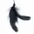 Black feather toy with string, suitable for interactive play.