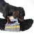 Cane che gioca con un tappetino olfattivo in tessuto nero, grigio e giallo con logo Batman.