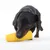Cane che gioca con un gioco giallo a forma di pannocchia di mais.