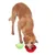 Dog drinking from red collapsible bowl, next to green collapsible bowl. Shows use of portable pet feeding bowls.