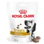 Royal Canin Urinary Snacks - výhodné balenie: 2 x 230 g (300 ks)