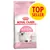 Royal Canin Second Age Kitten, alimento per gattini fino a 12 mesi. Etichetta gialla con testo: TOP SELLER.
