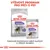 ROYAL CANIN STERILISED MINI a ALL SIZES, balení suchého a vlhkého krmiva pro psy. Text: Výživový program pro péči o psy. Dokonalá kombinace našich suchých a vlhkých receptur.