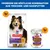 Hill's Science Plan Adult Dog Sensitive Stomach & Skin