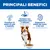 Hill's Science Plan Mature Adult 7+ Medium con Agnello e Riso
