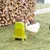 Chickens eating from a green feeder on a meadow. The feeder is filled with grain feed and stands securely on four legs.