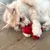 Gatto beige chiaro gioca con un gioco di peluche rosso su pavimento in legno.