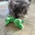 Katze spielt mit grünem Plüschspielzeug in Form eines Krokodils auf Holzboden.
