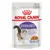 Royal Canin STERILISED, 85 g, hrana za sterilizirane mačke u želeu. Na pakiranju slika mačke i zdjelice s hranom. Vidljiv tekst: Feline Health Nutrition. Royal Canin STERILISED, 85 g, hrana za sterilizirane mačke u želeu. Na pakiranju slika mačke i zdjelice s hranom. Vidljiv tekst: Feline Health Nutrition.