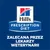 Hill's Prescription Diet t/d Dental Care, kurczak