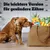 Pedigree Dentastix Light in einer Einkaufstasche mit Obst und Gemüse. Text: Die leichtere Version für gesündere Zähne.
