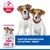 Hill's Science Plan Puppy Small & Mini Lam & Ris