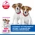 Hill`s Science Plan Puppy Small & Mini cordero y arroz Hill`s Science Plan Puppy Small & Mini cordero y arroz