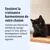 Favorise une croissance harmonieuse des chatons non stérilisés jusqu'à 12 mois, soutient le développement cérébral et la santé digestive. Favorise une croissance harmonieuse des chatons non stérilisés jusqu'à 12 mois, soutient le développement cérébral et la santé digestive.
