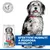 Hill's Science Plan Perfect Weight & Active Mobility Adult 1+ Medium Chicken